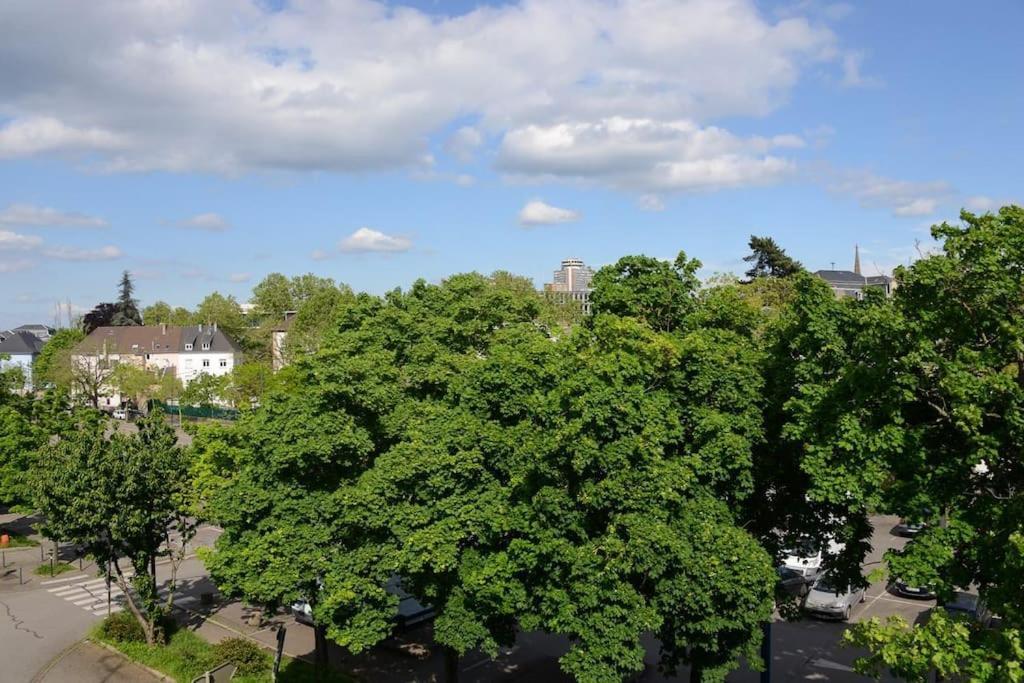 Appartement Charmant Tres Proche Centre-Ville, Parking Gratuits, Mulhouse Centre Buitenkant foto